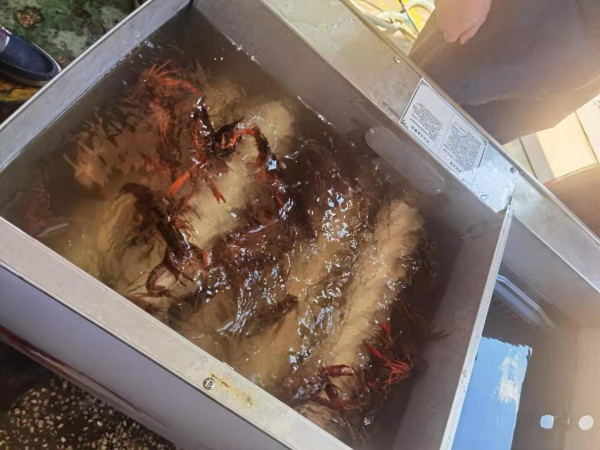 conew_微信图片_20210518092927